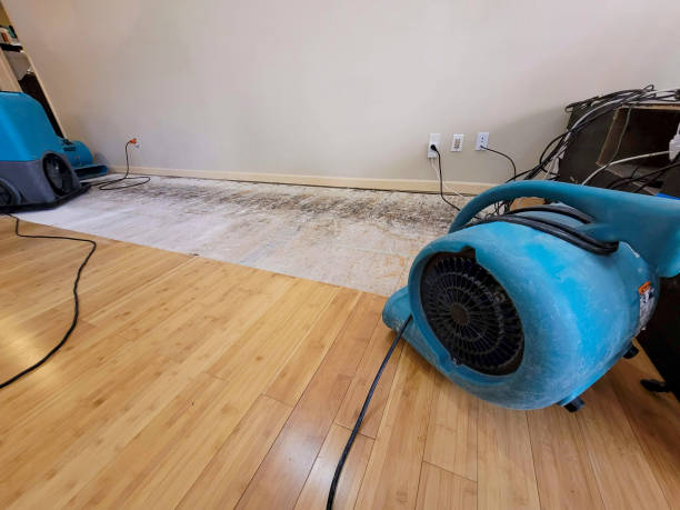 Professional Burst Pipe Water Damage technician working in Cleveland, MS